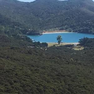 Meet your Posher, Louise